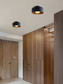 Luna Ceiling Light