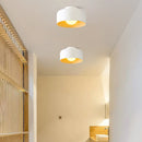 Luna Ceiling Light