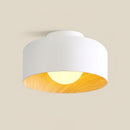 Luna Ceiling Light