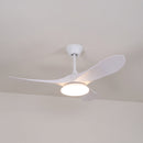 Tapered Span Fan Light