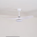 Tapered Span Fan Light