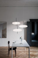 Model 2065 Midcentury Pendant Lamp