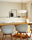 Model 2065 Midcentury Pendant Lamp