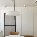 Model 2065 Midcentury Pendant Lamp