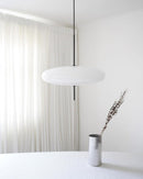 Model 2065 Midcentury Pendant Lamp
