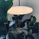 Model 2065 Midcentury Pendant Lamp