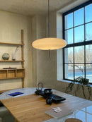 Model 2065 Midcentury Pendant Lamp