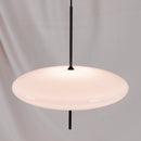 Model 2065 Midcentury Pendant Lamp
