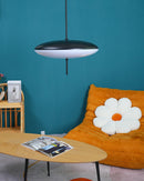 Model 2065 Midcentury Pendant Lamp