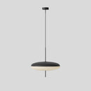 Model 2065 Midcentury Pendant Lamp