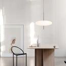 Model 2065 Midcentury Pendant Lamp