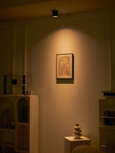 Studio Ceiling Light