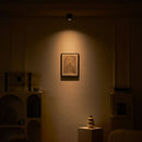 Studio Ceiling Light