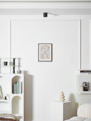 Studio Ceiling Light