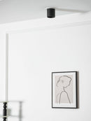 Studio Ceiling Light
