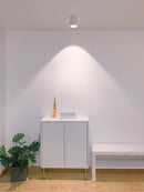 Studio Ceiling Light