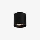 Studio Ceiling Light