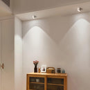 Studio Ceiling Light