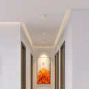 Studio Ceiling Light