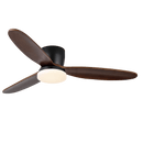 Wing Span Fan Light
