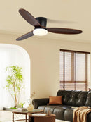 Wing Span Fan Light