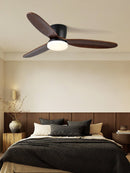 Wing Span Fan Light