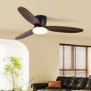 Wing Span Fan Light