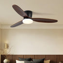 Wing Span Fan Light