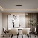 Geometric Halo Loop Pendant Light