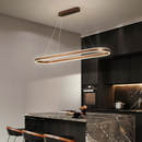 Geometric Halo Loop Pendant Light