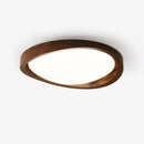 Minimalist Curved Edge Ceiling Light