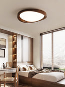 Minimalist Curved Edge Ceiling Light