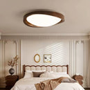 Minimalist Curved Edge Ceiling Light