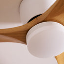 Isben Wooden Ceiling Fan Light