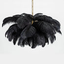 Luxury Extra Large Ostrich Feather Ceiling Chandelier