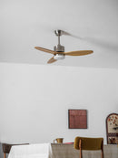 Elongated Profile Fan Light
