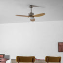 Elongated Profile Fan Light