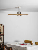 Elongated Profile Fan Light