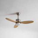 Elongated Profile Fan Light