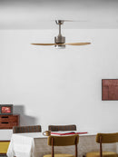 Elongated Profile Fan Light