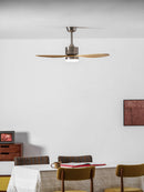Elongated Profile Fan Light