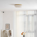 Modern Ripple Glass Ceiling Light