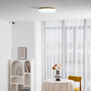 Modern Ripple Glass Ceiling Light