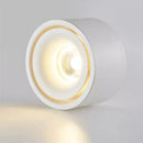 Matte Cylinder Ceiling Spot Light