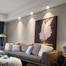Matte Cylinder Ceiling Spot Light