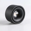 Matte Cylinder Ceiling Spot Light