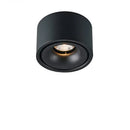 Matte Cylinder Ceiling Spot Light