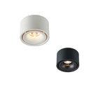 Matte Cylinder Ceiling Spot Light