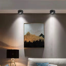 Matte Cylinder Ceiling Spot Light