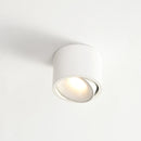Round Downlight Cylinder Ceiling Light